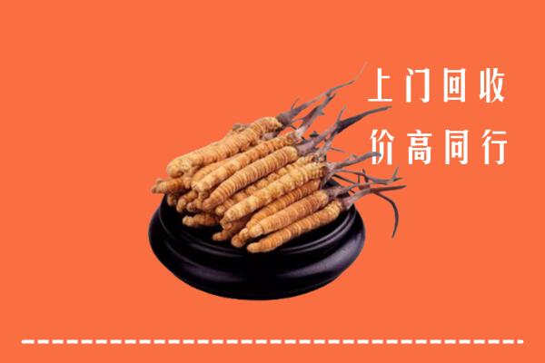 高价求购：平凉市回收散虫草